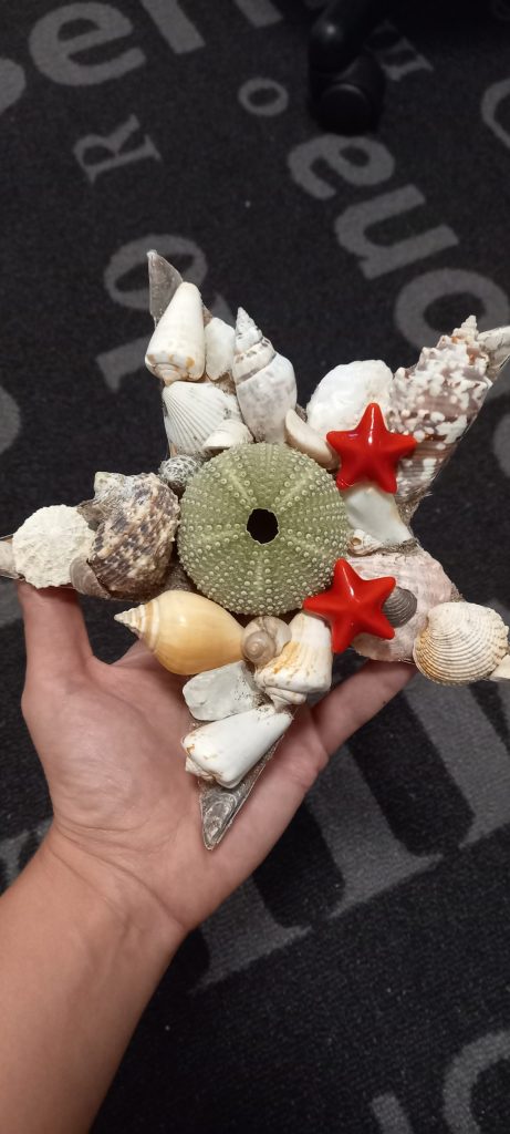 Uradi Sama – Zvijezdu od Školjki