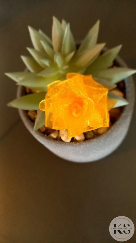 Kako Brzo Napraviti Mašnu